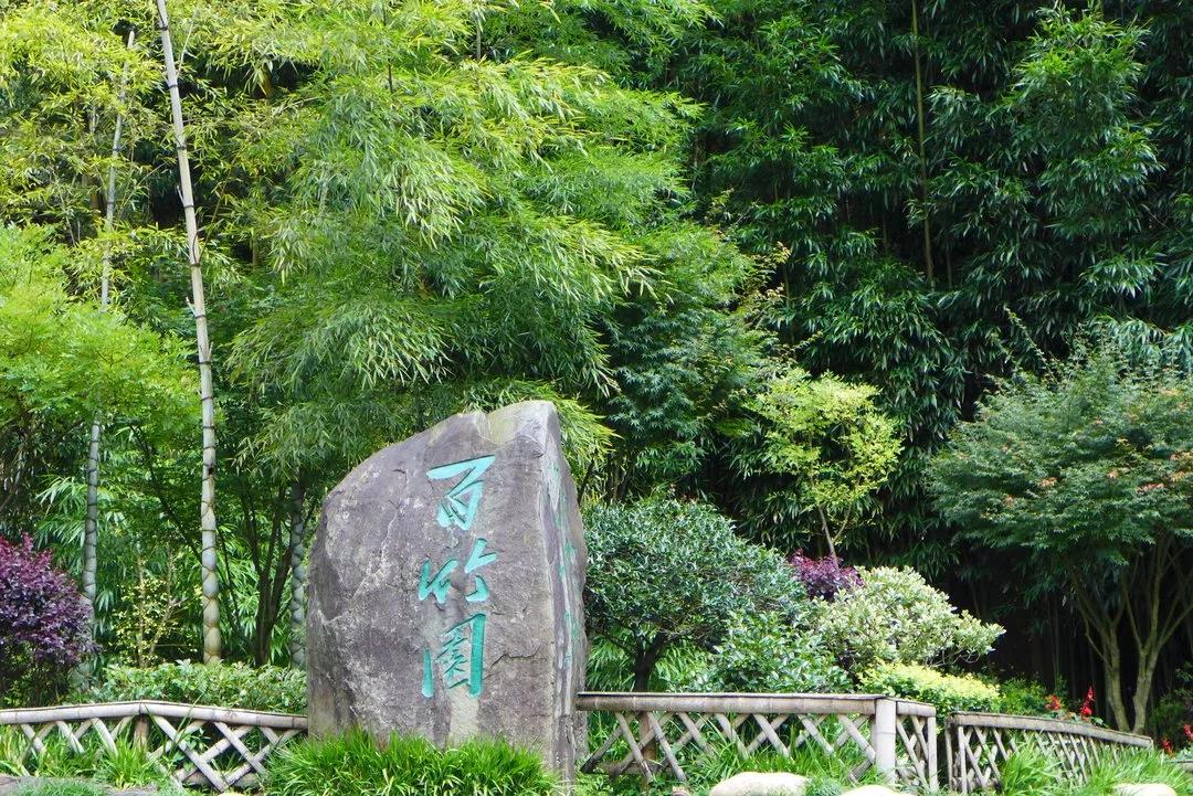 重上井岡山，再現民族魂